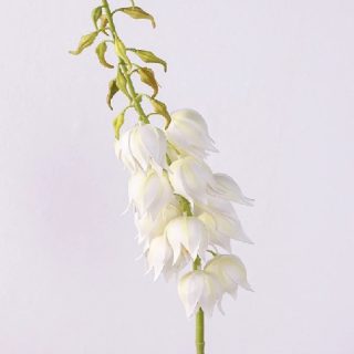 White Orchid Yucca Gloriosa Artificial Flower