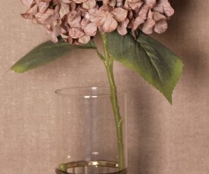Realistic Hydrangea Stem