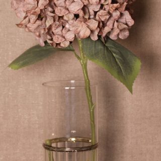 Realistic Hydrangea Stem
