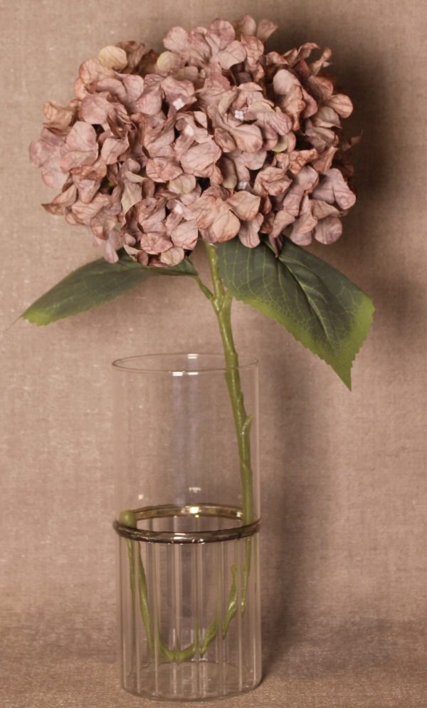 Realistic Hydrangea Stem