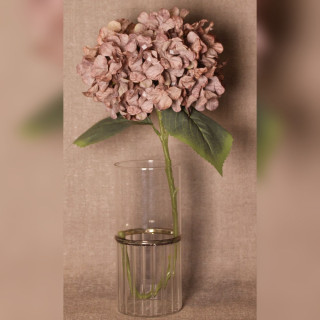 Realistic Hydrangea Stem