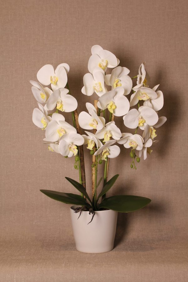 Faux White Butterfly Orchid Floral Arrangement - Image 2