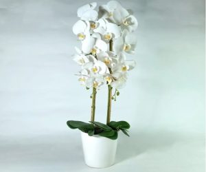 Faux White Butterfly Orchid Floral Arrangement
