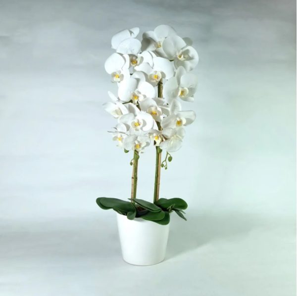 Faux White Butterfly Orchid Floral Arrangement