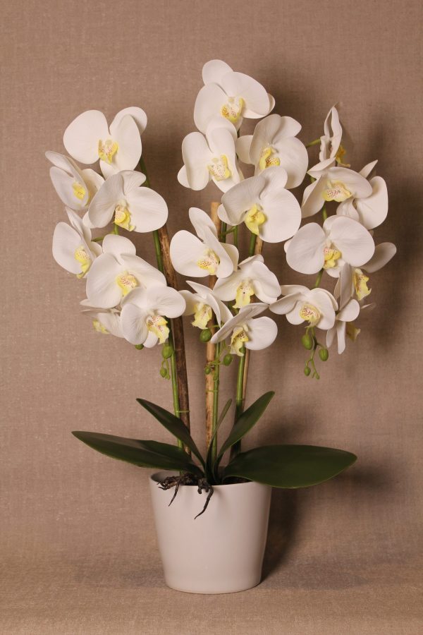 Faux White Butterfly Orchid Floral Arrangement - Image 3