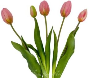 Realistic Pink Tulip Arrangement
