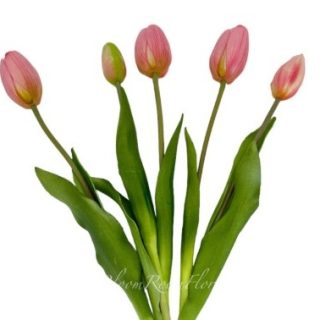 Realistic Pink Tulip Arrangement