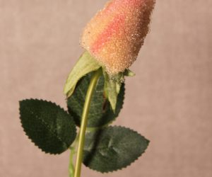 Glitter-Dusted Pink Rose Stem with Leaves