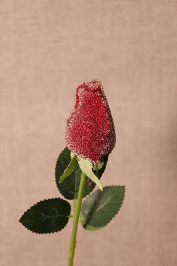 Glitter-Dusted Red Rose Stem with Leaves