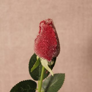 Glitter-Dusted Red Rose Stem with Leaves