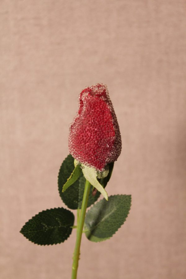 Glitter-Dusted Red Rose Stem with Leaves
