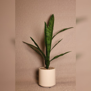 Faux Sansevieria Floor Plant