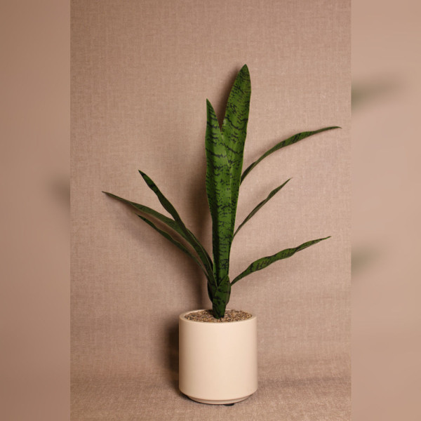 Faux Sansevieria Floor Plant