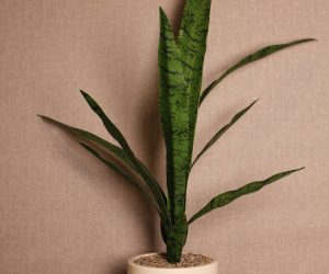 Faux Sansevieria Floor Plant
