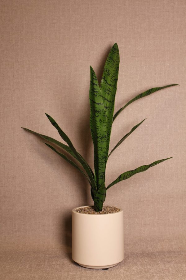 Faux Sansevieria Floor Plant