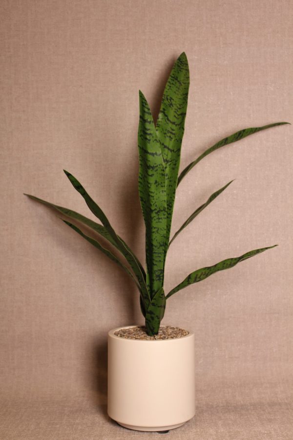 Faux Sansevieria Floor Plant - Image 3