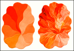 Ember Bloom Rug